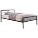 Fisher Twin Metal Bed Gunmetal image